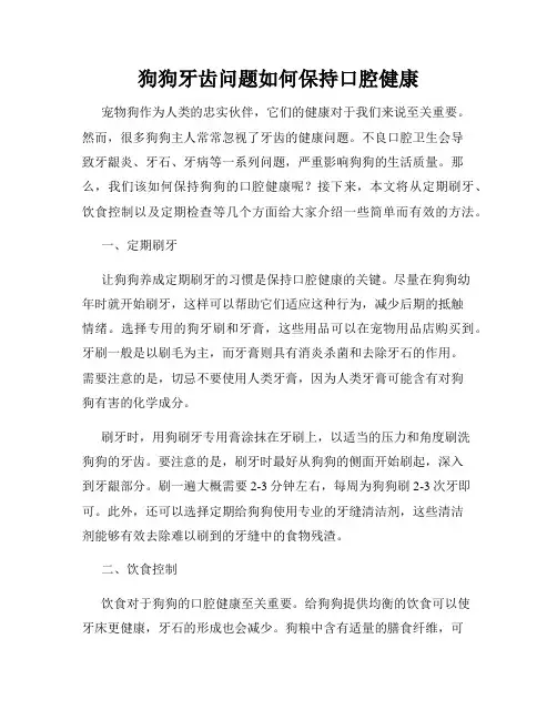 狗狗牙齿问题如何保持口腔健康