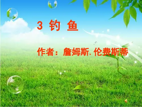 《钓鱼》课件(语文S版四年级下册课件)