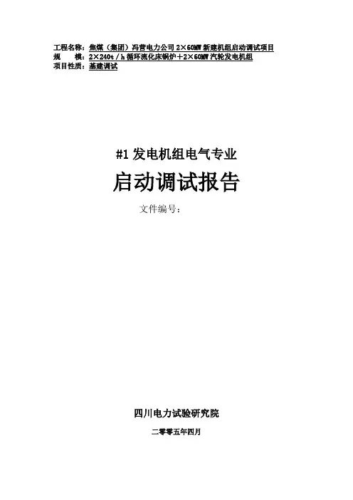 发电机启动调试报告