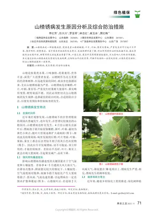 山楂锈病发生原因分析及综合防治措施