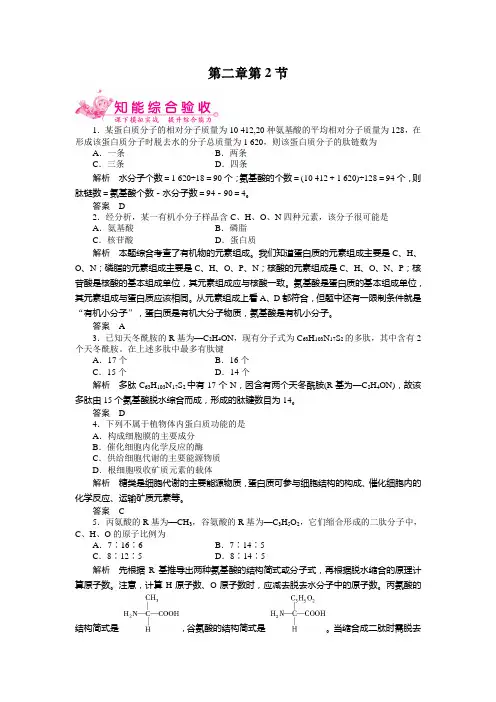 2-2蛋白质习题