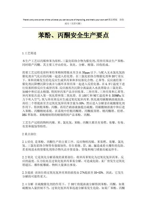 苯酚、丙酮安全生产要点