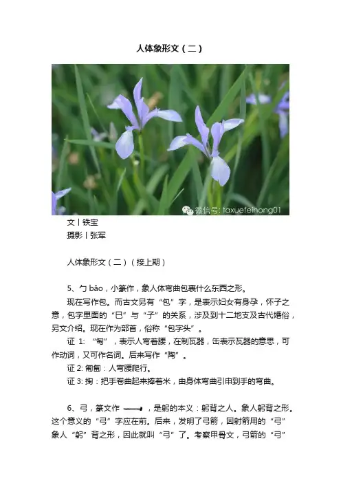 人体象形文（二）