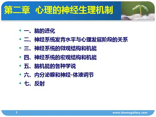 心理的神经生理基础PPT课件