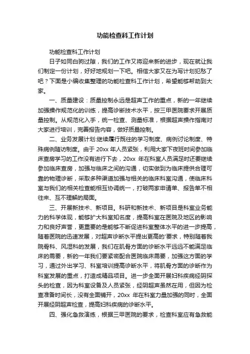 功能检查科工作计划