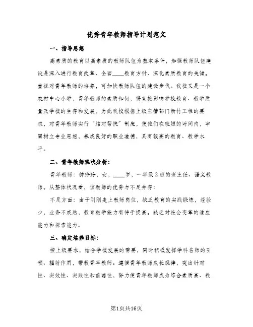 优秀青年教师指导计划范文(七篇)