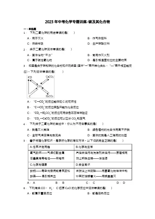 2023年中考化学专题训练-碳及其化合物【附解析及答案】