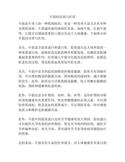 牛筋的功效与作用