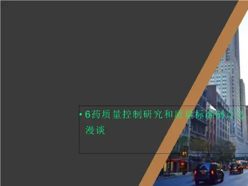 6药质量控制研究和质量标准制订之漫谈