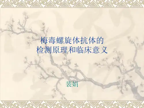 梅毒螺旋体抗体的模板