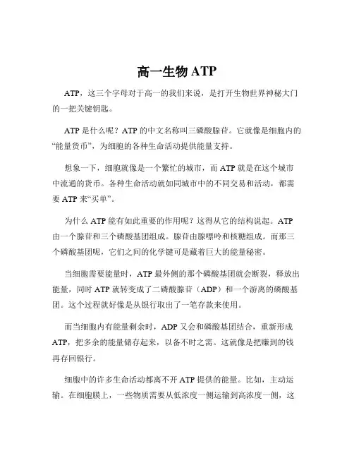 高一生物ATP