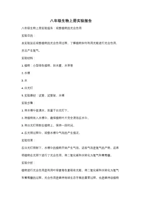 八年级生物上册实验报告