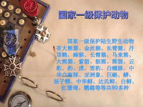 国家一二三级保护动物