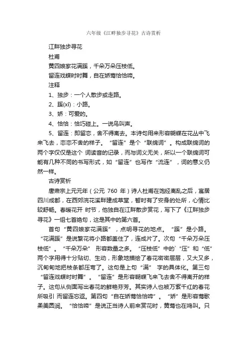 六年级《江畔独步寻花》古诗赏析