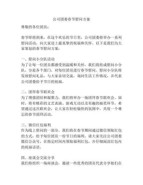 公司团委春节慰问方案