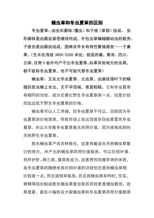 蛹虫草和冬虫夏草的区别
