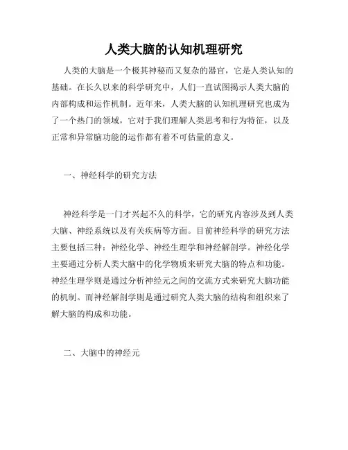 人类大脑的认知机理研究
