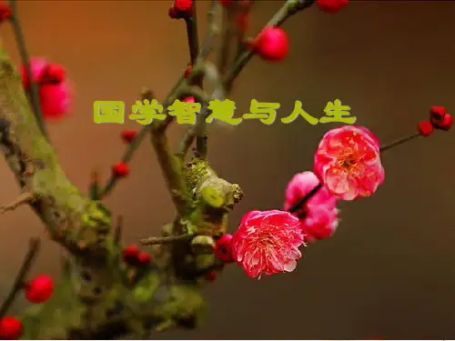 国学 智慧与人生