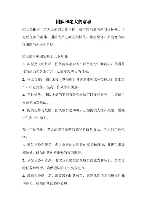 团队和老大的意思