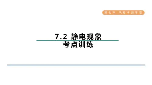静电现象考点训练苏科版八年级物理下册