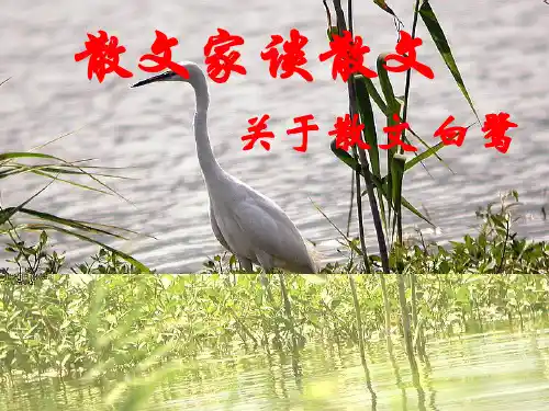 《散文家谈散文》之白鹭ppt课件