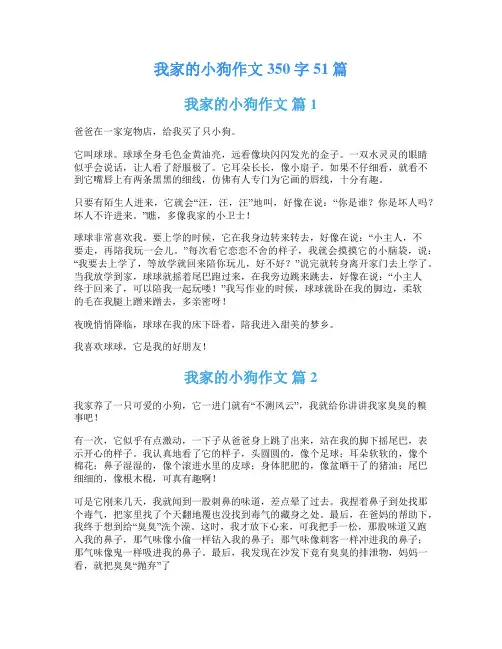 我家的小狗作文350字51篇