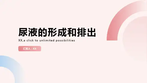 济南版生物七下第一节《尿液的形成和排出》教案