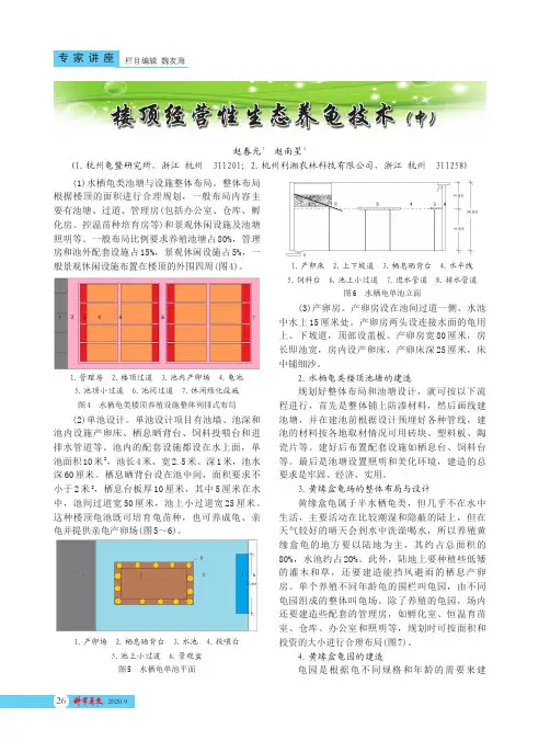楼顶经营性生态养龟技术(中)