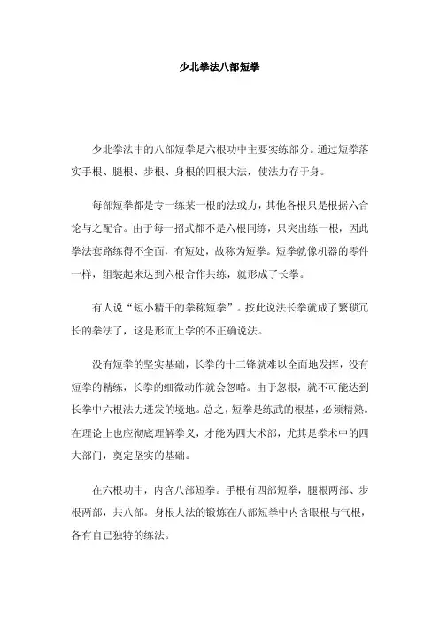 少北拳法八部短拳