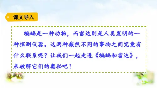 部编版ppt-《蝙蝠和雷达》ppt课件1
