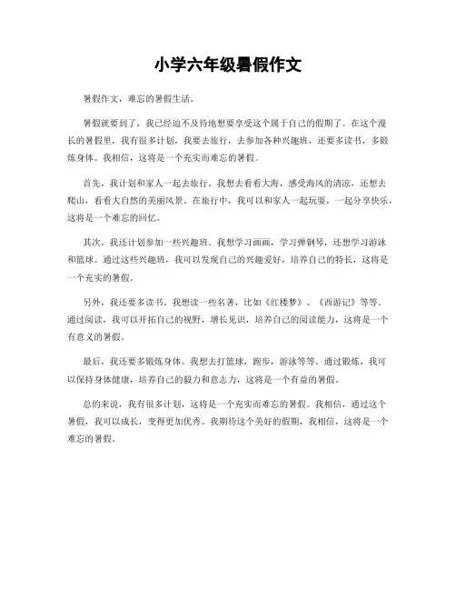 小学六年级暑假作文