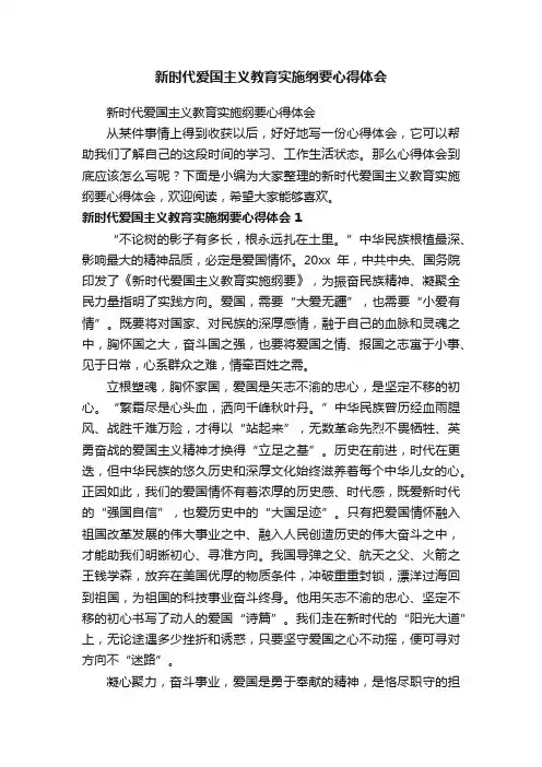 新时代爱国主义教育实施纲要心得体会