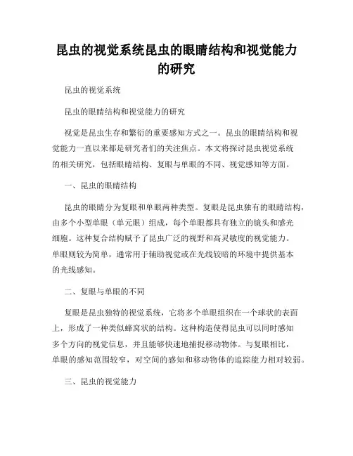 昆虫的视觉系统昆虫的眼睛结构和视觉能力的研究