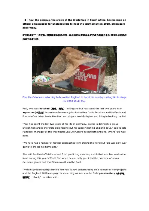南非——世界杯