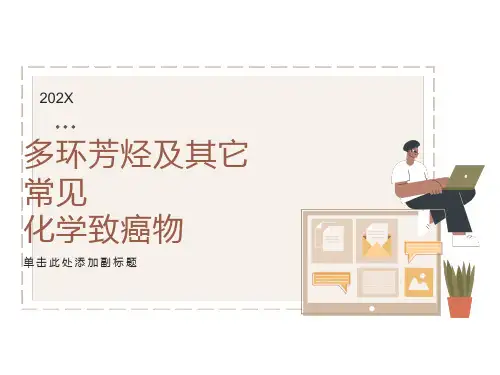 多环芳烃及其它常见化学致癌物