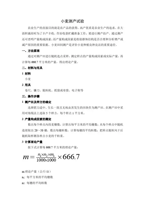 小麦测产实验