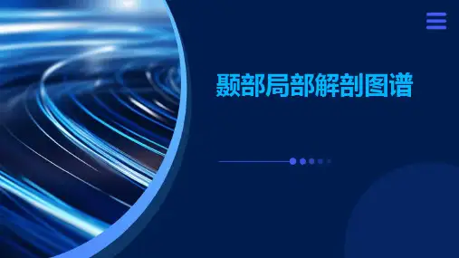 颞部局部解剖图谱