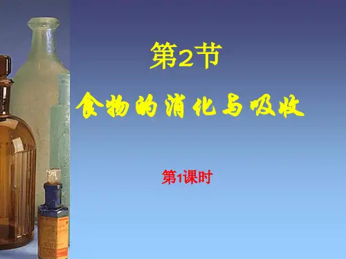 食物的消化与吸收[60张PPT]
