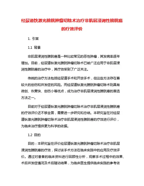 经尿道钬激光膀胱肿瘤切除术治疗非肌层浸润性膀胱癌的疗效评价