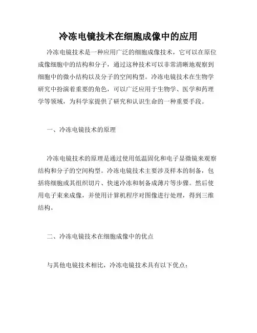 冷冻电镜技术在细胞成像中的应用