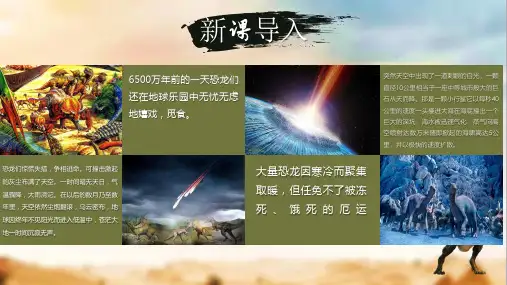 第6课《阿西莫夫短文两篇——被压扁的沙子》 统编版语文八年级下册