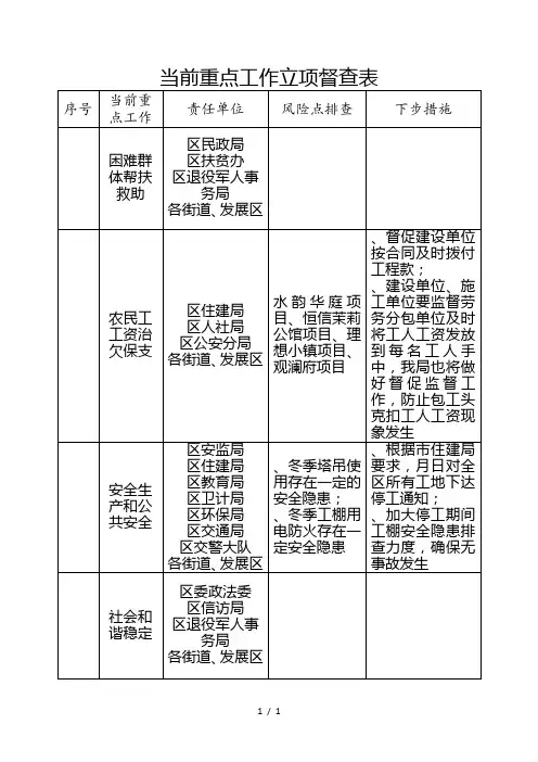 当前重点工作立项督查表