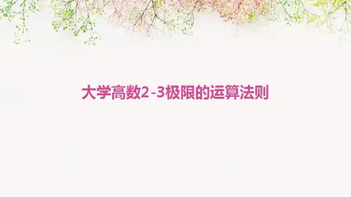 大学高数2-3极限的运算法则
