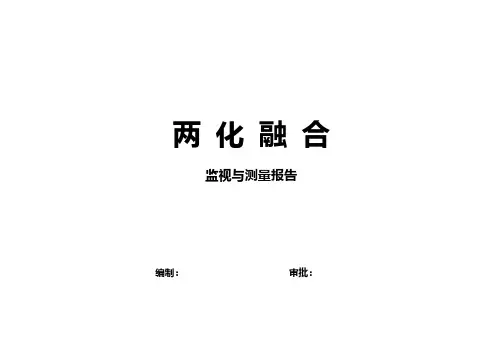 两化融合监视与测量报告