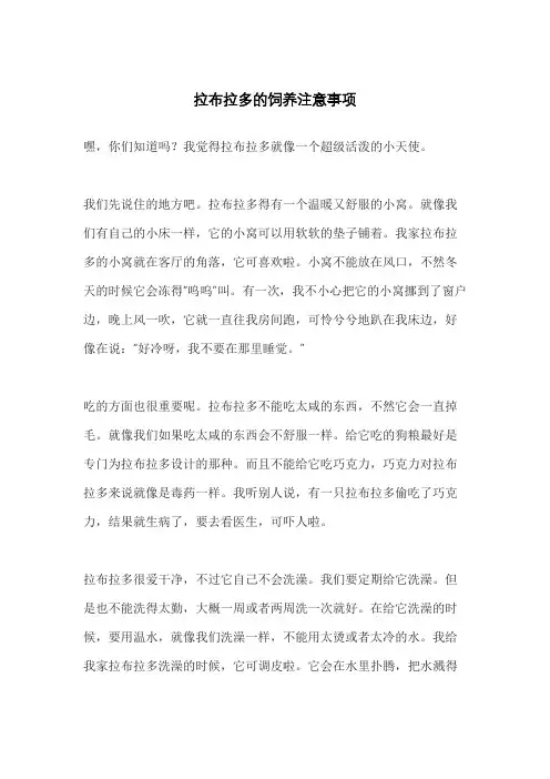 拉布拉多的饲养注意事项
