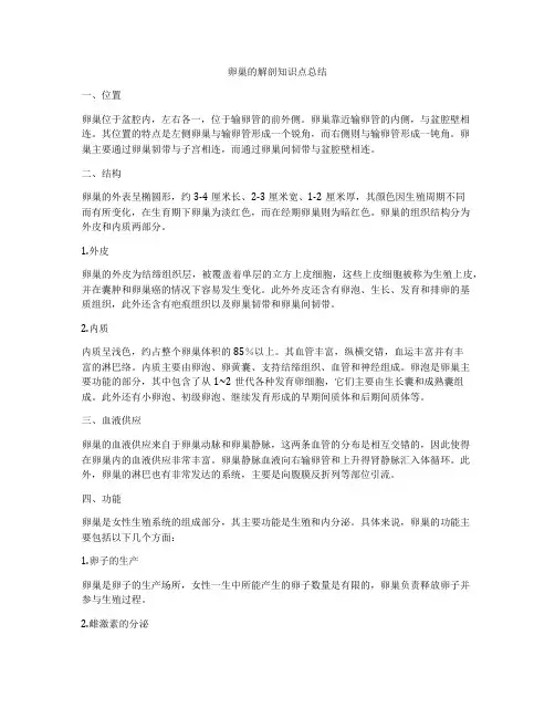 卵巢的解剖知识点总结