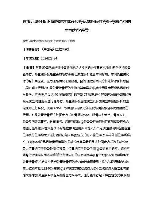 有限元法分析不同固定方式在胫骨远端粉碎性骨折骨愈合中的生物力学差异