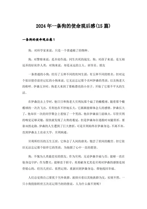 2024年一条狗的使命观后感(15篇)_6