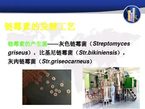 链霉素的生产