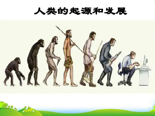 八年级生物下册 第六单元第三章第三节人类的起源和发展课件 冀教